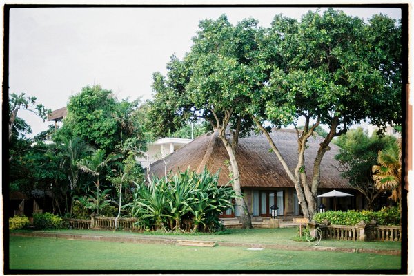 Comment organiser un safari pour observer les Big Five dans le parc national de Maasai Mara, Kenya?