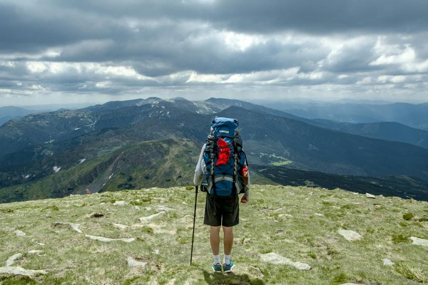 Quels sont les meilleurs endroits pour observer les guépards en liberté en Namibie : parcs et périodes ?